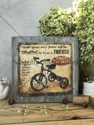 Tricycle (настенное панно из дерева)